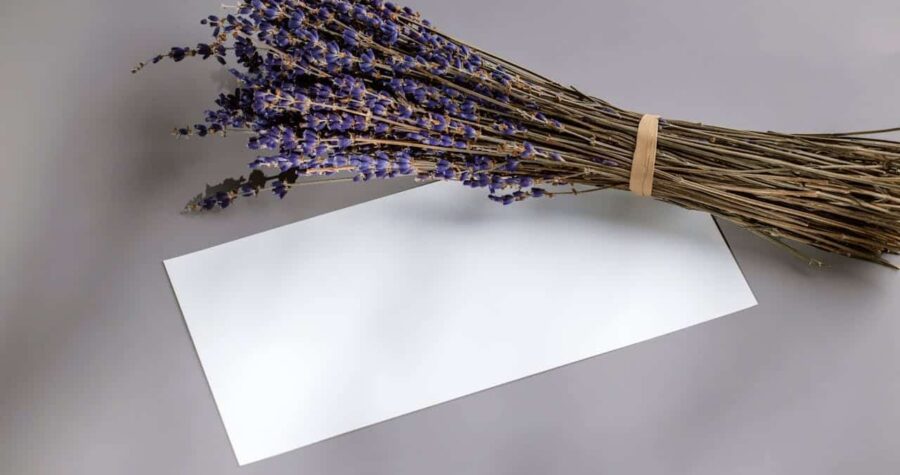 Bundle of dried purple lavender stems tied with string next to white paper on gray surface