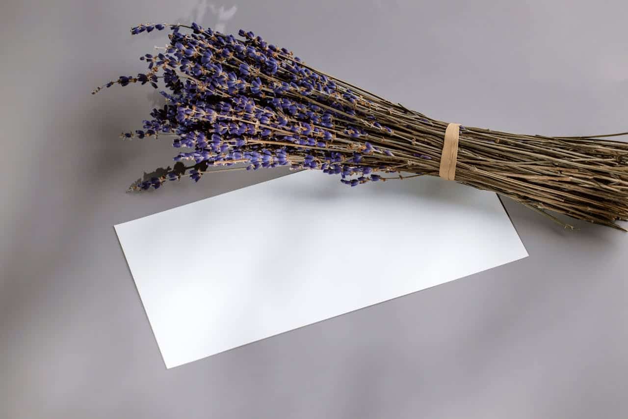 Bundle of dried purple lavender stems tied with string next to white paper on gray surface
