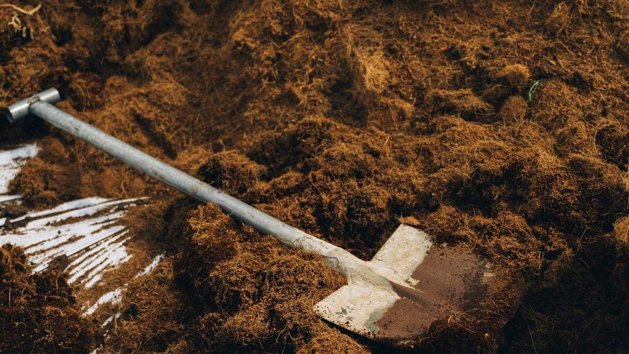 Garden shovel with wooden handle lying on rich brown organic mulch material spread across soil surface