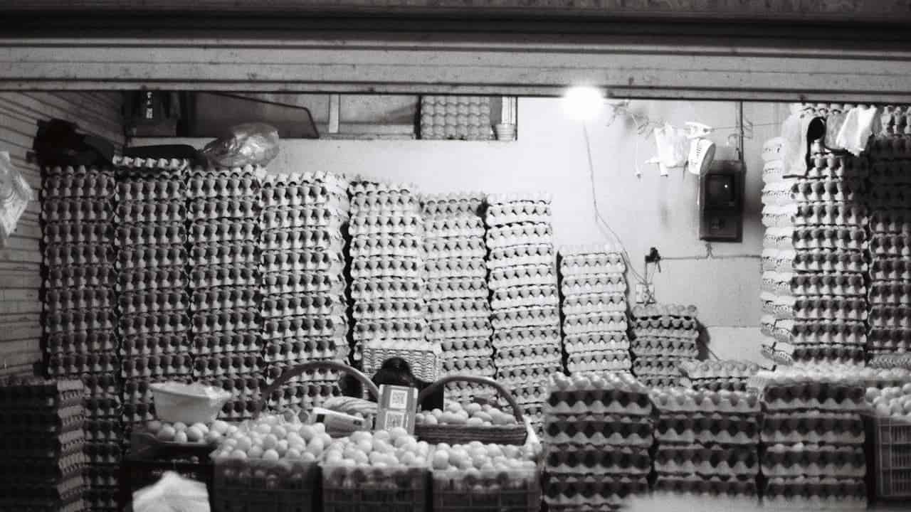 Black and white photo of an eggs storage with thousands of eggs stacked in cartons and baskets