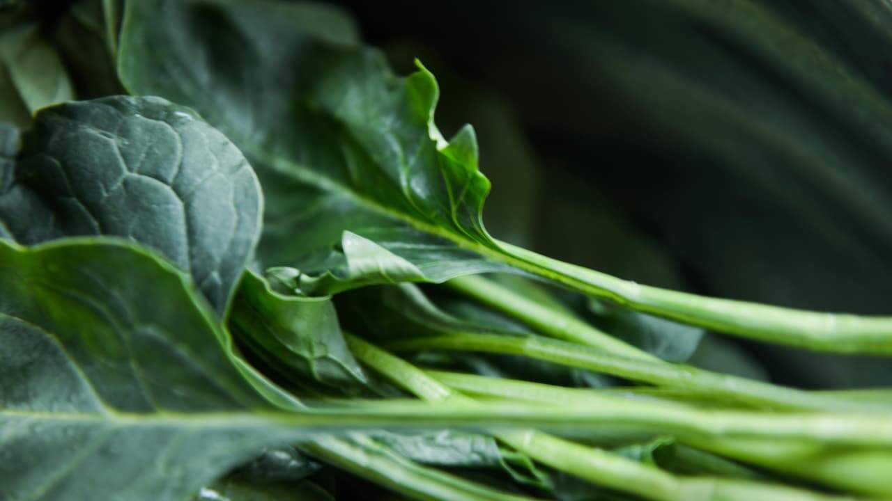 Fresh dark green leafy vegetables, close-up of spinach or kale, long green stems, textured surface, natural lighting