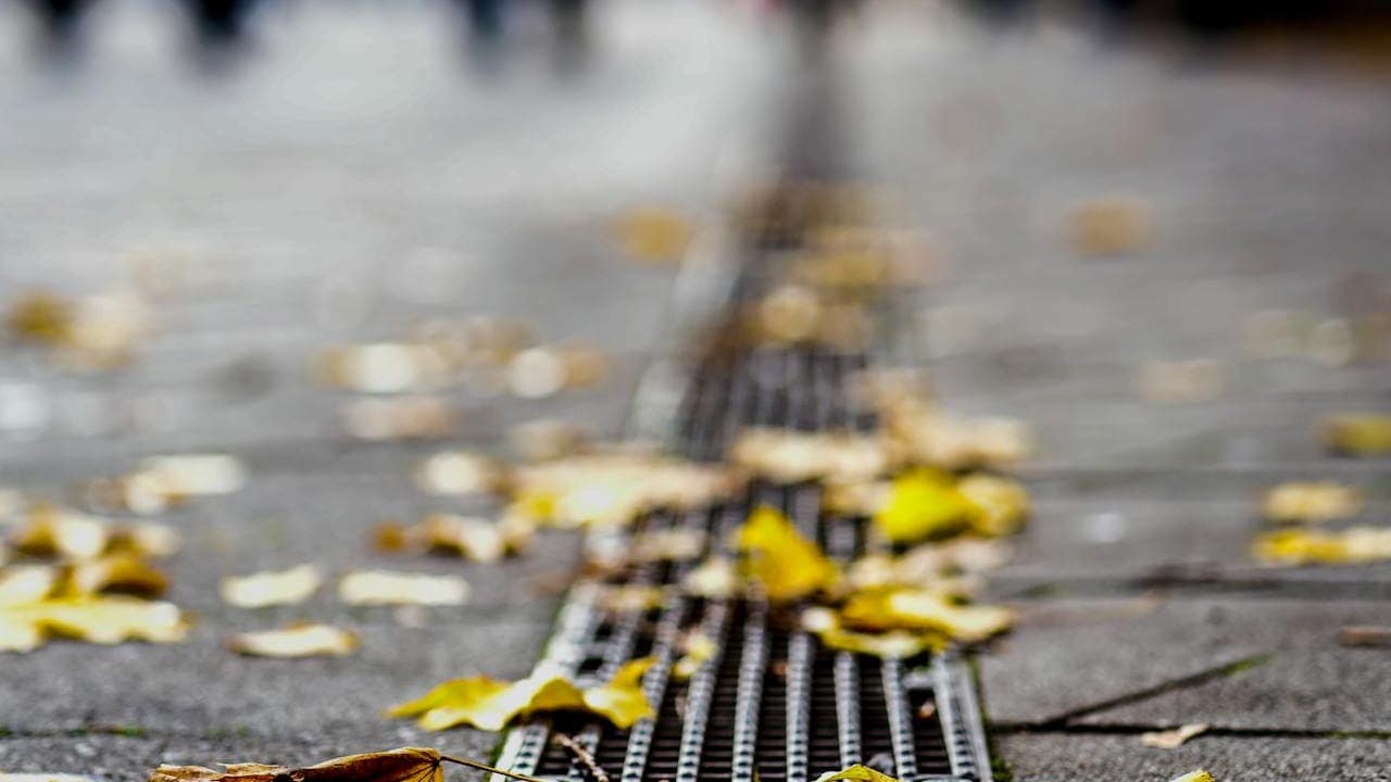 Metal drainage grate running along street with scattered yellow autumn leaves on wet pavement surface