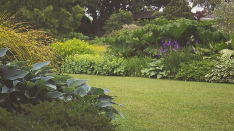 Backyard with manicured lawn, ornamental grasses, hostas, purple flowers, and layered garden borders creating peaceful landscape design