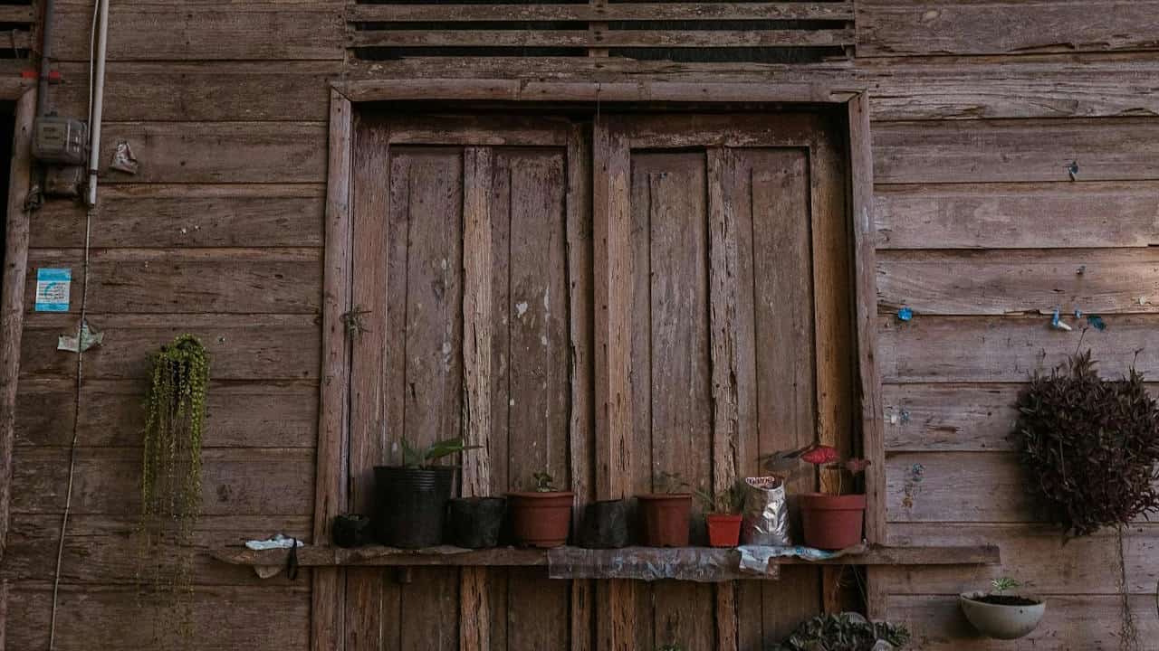 Old wooden door on a weathered wooden wall, small potted plants and plastic bags lined on a narrow shelf, hanging plants on both sides