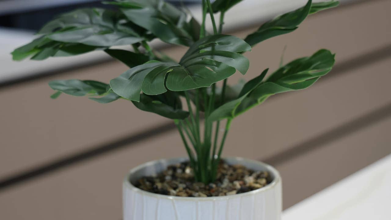 Synthetic Monstera plant with split green leaves in a white ceramic pot