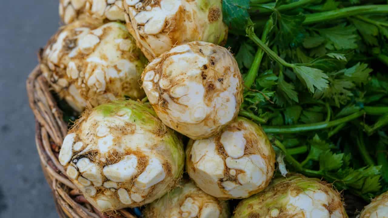 Fresh celeriac roots with fibrous exterior and green leafy tops displayed alongside fresh parsley in wicker basket