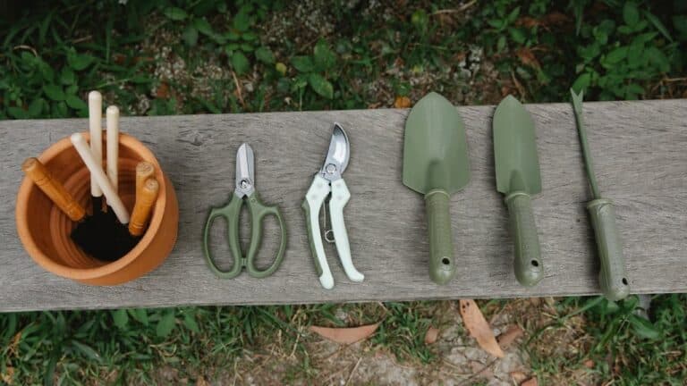 Garden tools laid out on wooden bench including pruning shears, hand trowels, and cleaning supplies for maintenance