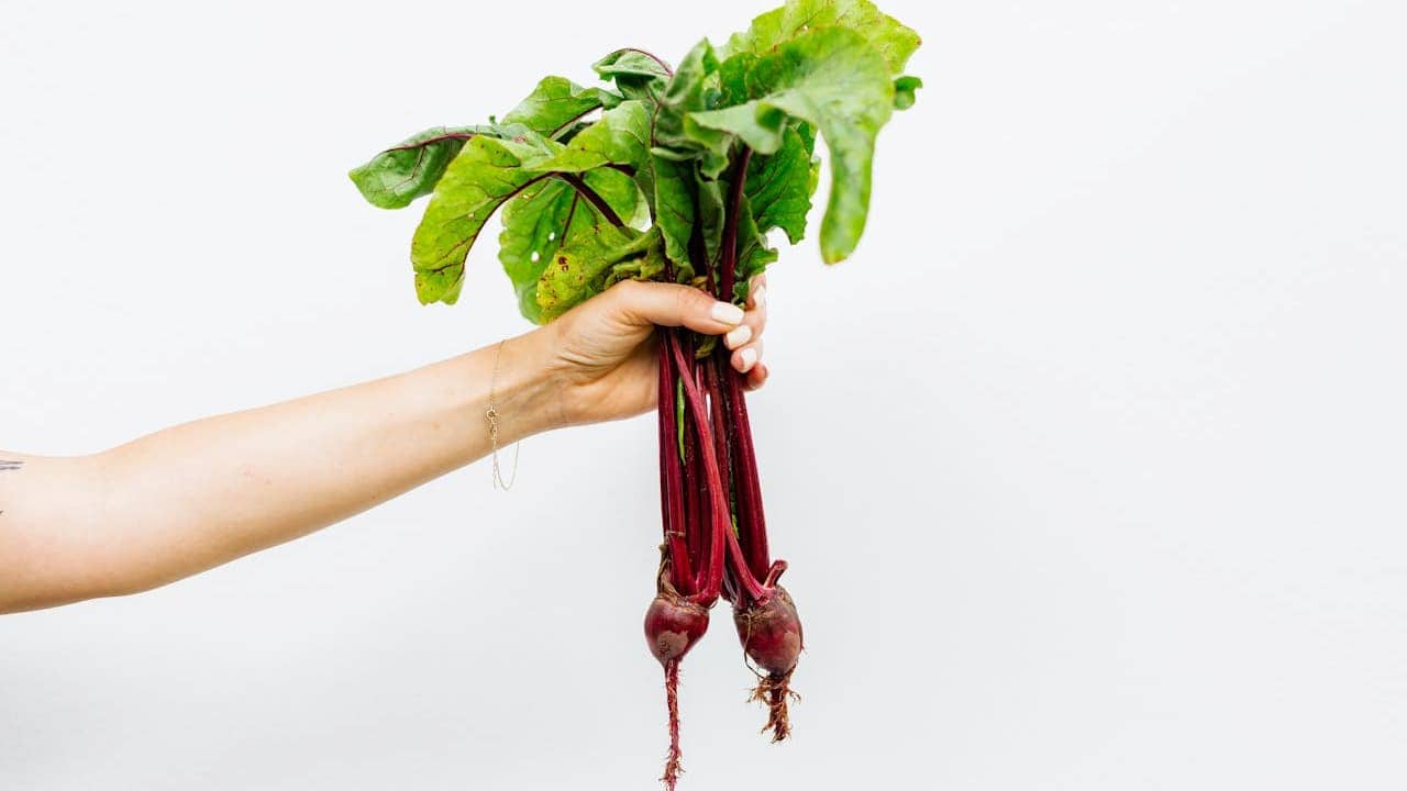 Hand holding fresh beetroots with leafy green tops and visible root tails against white background