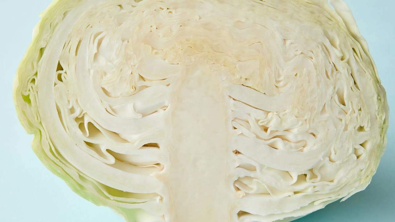 Cross-section of cabbage showing white core and layered leaves against a light blue background
