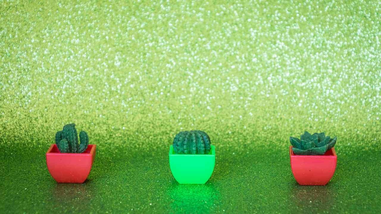 A collection of colorful planting pots arranged together