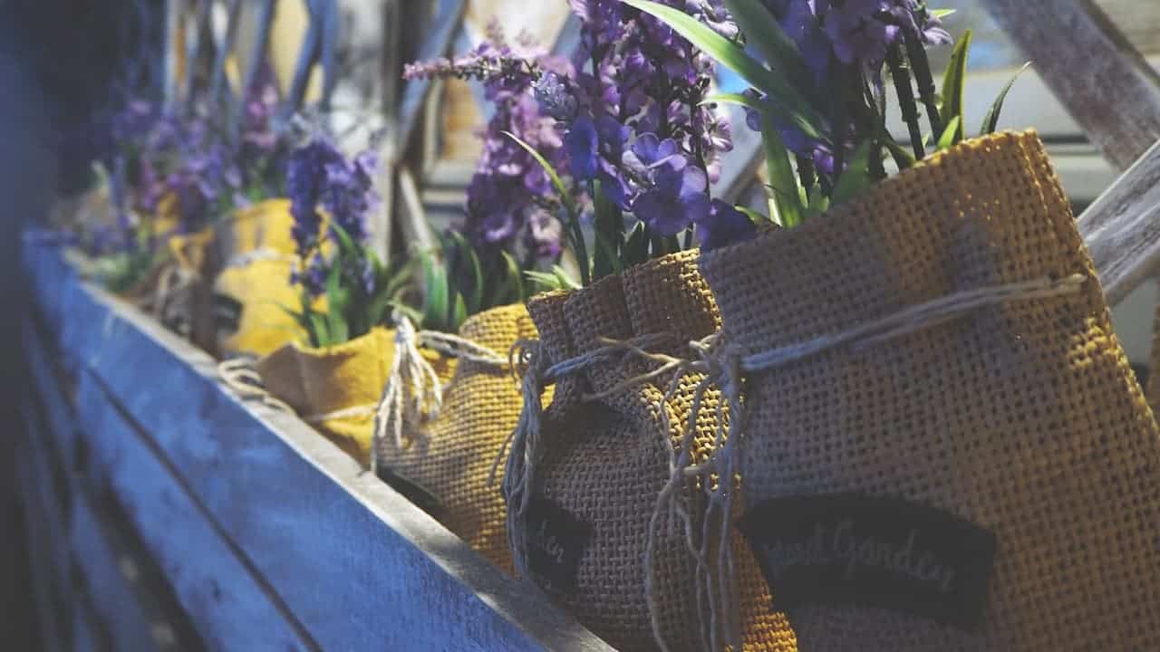 Burlap coffee sacks repurposed as planters containing purple flowering plants, arranged on blue wooden window box or shelf