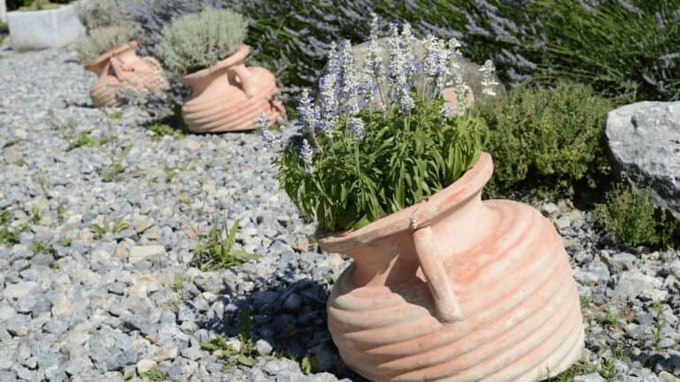 Mediterranean garden with terracotta pots containing purple flowering plants arranged on decorative gray gravel with natural stone accents
