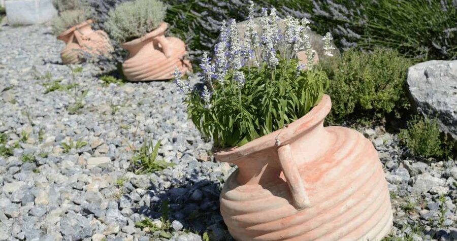 Mediterranean garden with terracotta pots containing purple flowering plants arranged on decorative gray gravel with natural stone accents