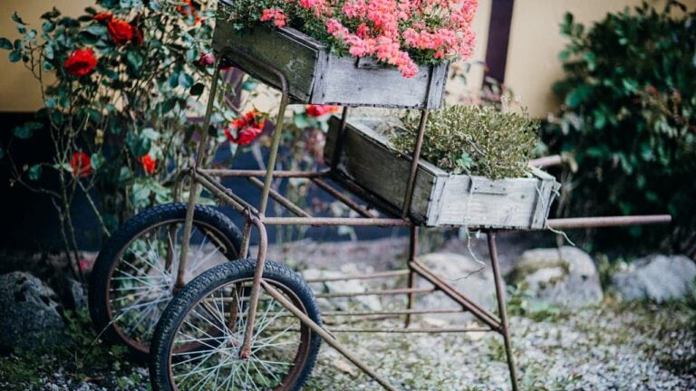 Vintage bicycle with wooden crate planters filled with pink and red flowers in rustic garden courtyard setting
