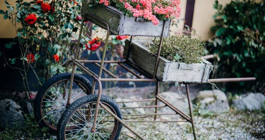 Vintage bicycle with wooden crate planters filled with pink and red flowers in rustic garden courtyard setting