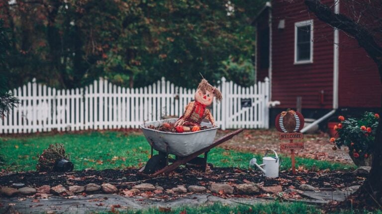 Autumn scarecrow decoration sitting in old wheelbarrow on stone path near red barn with white picket fence