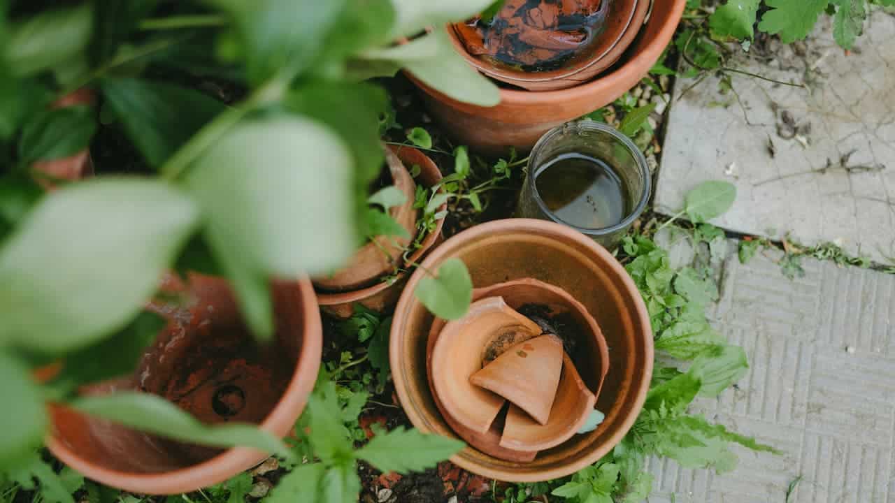 Pot with visible cracks along its surface, showing signs of wear or damage