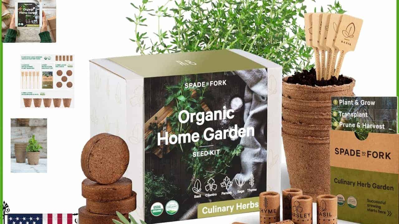 Organic home herb garden seed kit by Spade to Fork, featuring seed packets, biodegradable pots, plant markers, soil discs