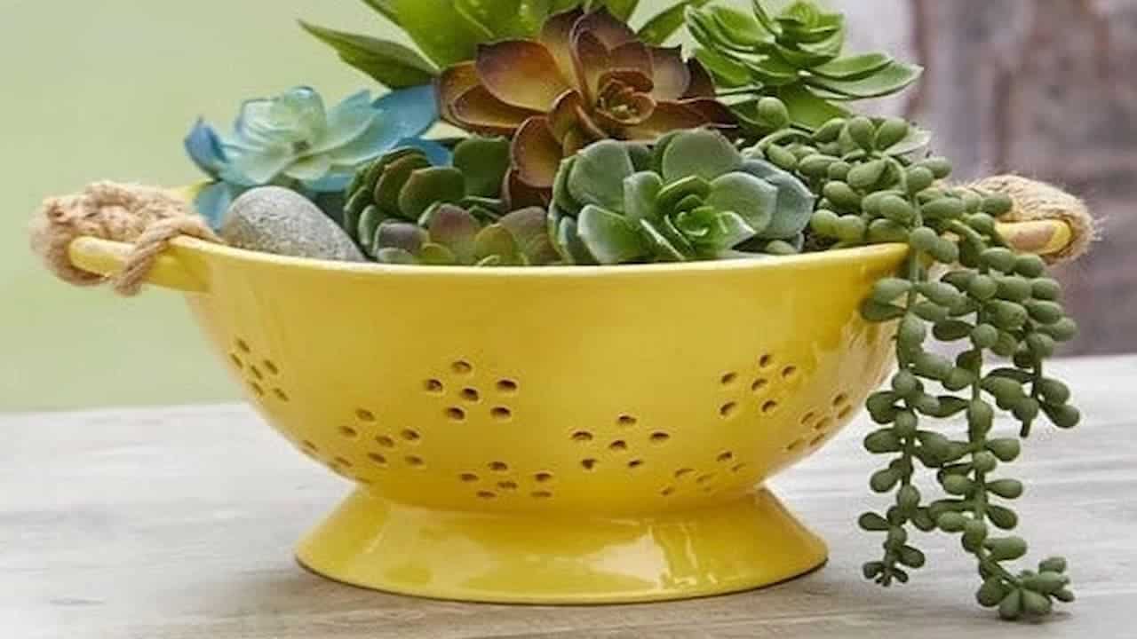 Yellow colander repurposed as hanging planter contains various colorful succulents including green, blue, and reddish-brown varieties with trailing stems
