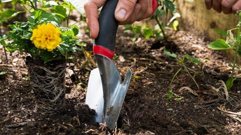 Hand using Radius Garden ergonomic hand trowel with black handle and red accent to dig in soil near yellow flowers