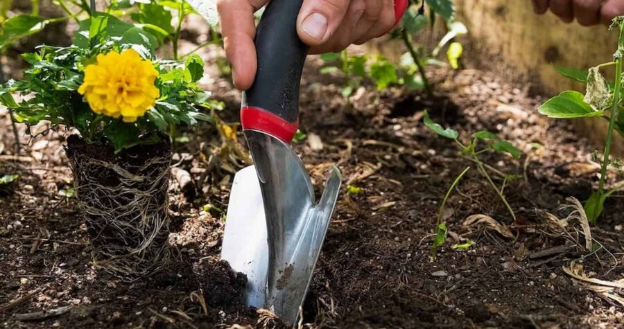 Hand using Radius Garden ergonomic hand trowel with black handle and red accent to dig in soil near yellow flowers