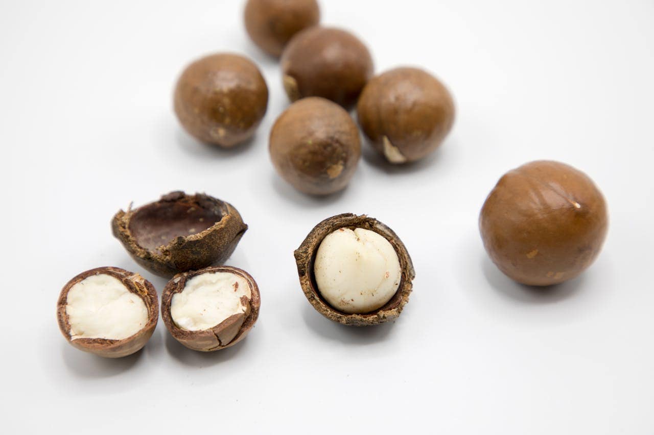 Australian Macadamia Nuts