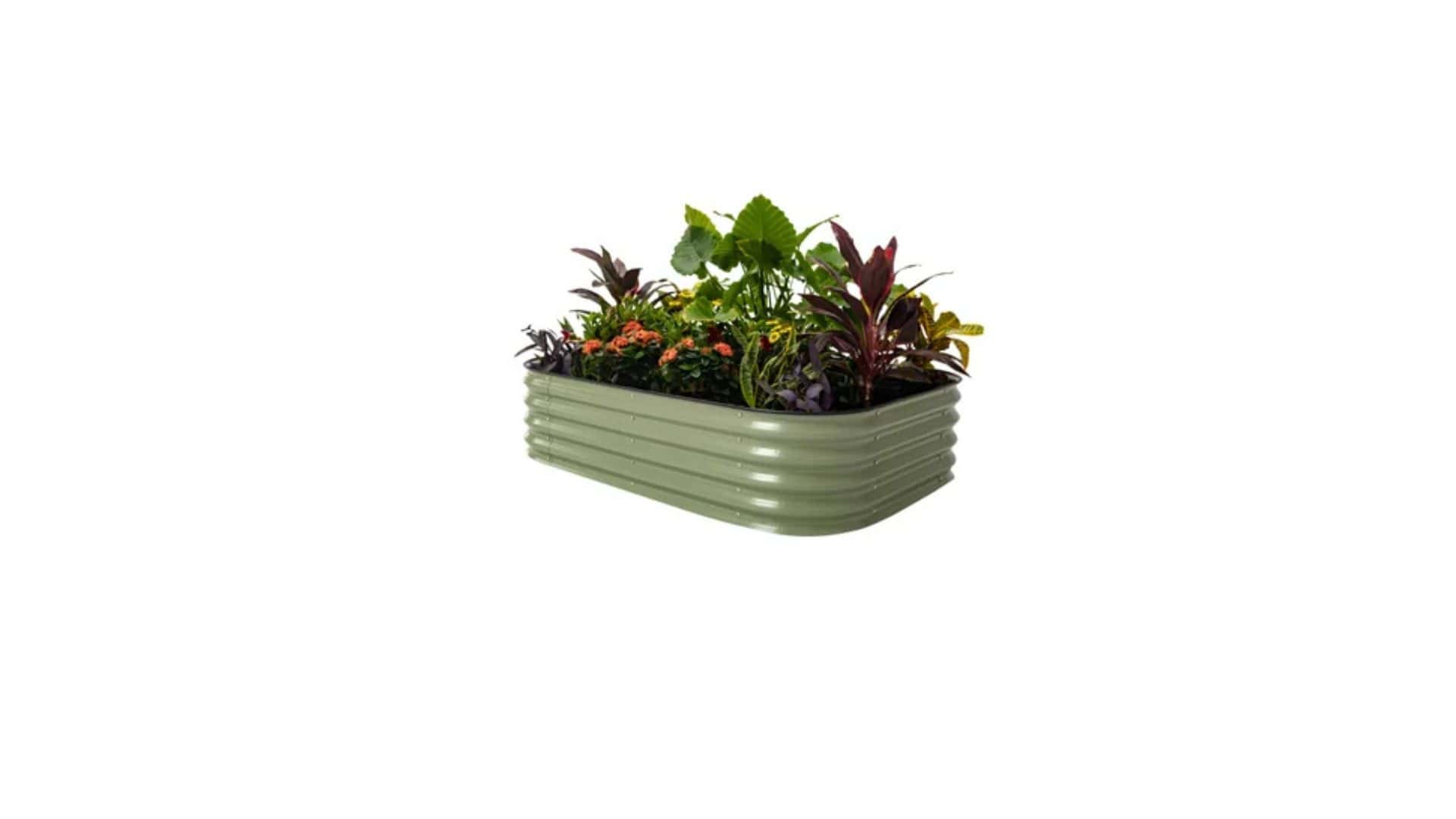 Birdies 6-in-1 Raised Garden Bed
