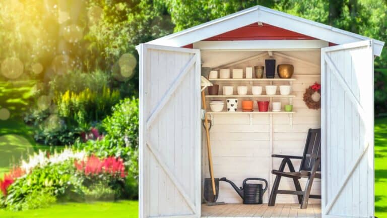 Garden shed filled with gardening tools. Shovels, rake, pots, water pitcher in storage hut. Green sunny garden in the background.