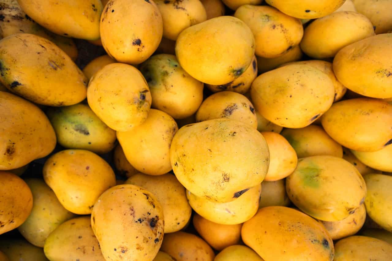 Indian Mangoes