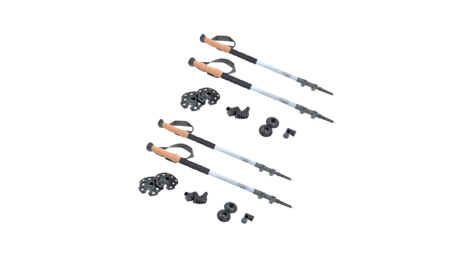 Kirkland Signature Trekking Poles