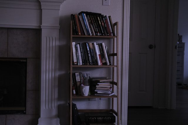 Ladder Converted to Bookshelf
