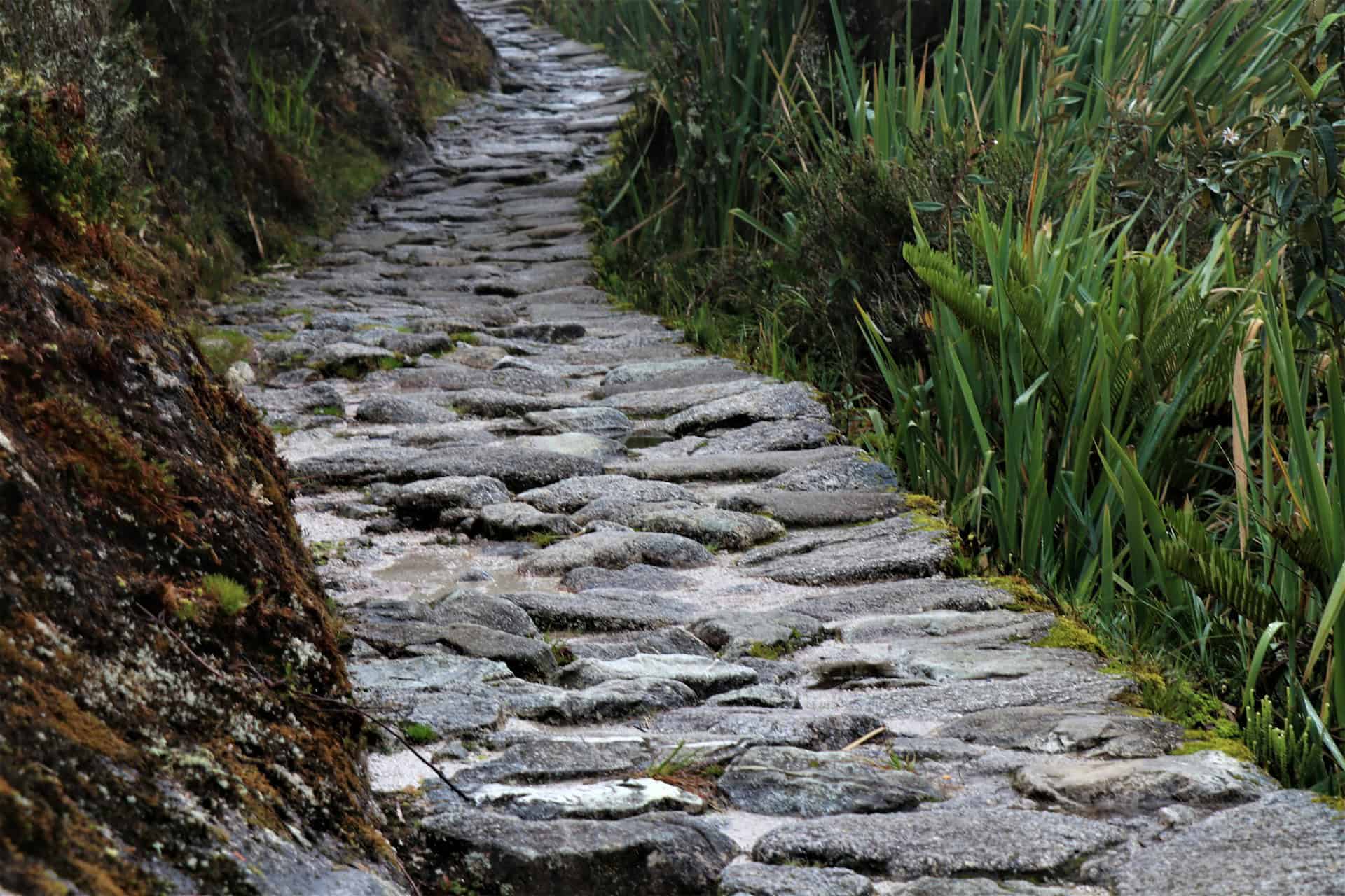 Paving Stone Walkway