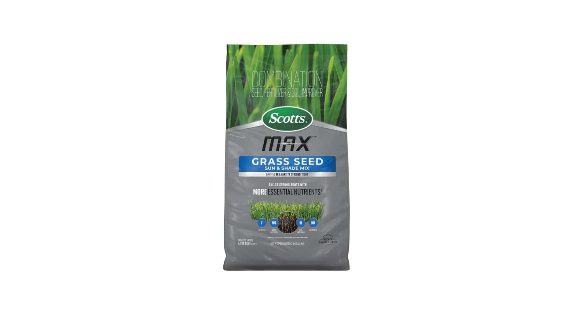 Scotts Turf Builder Grass Seed