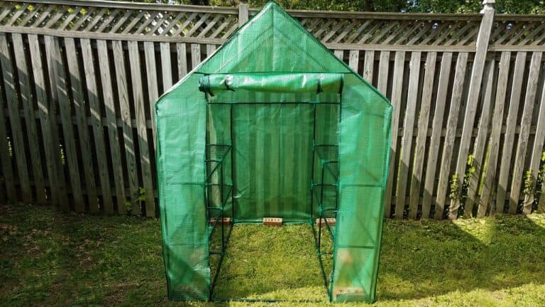 15 Aldi Finds That Made My Garden Bloom