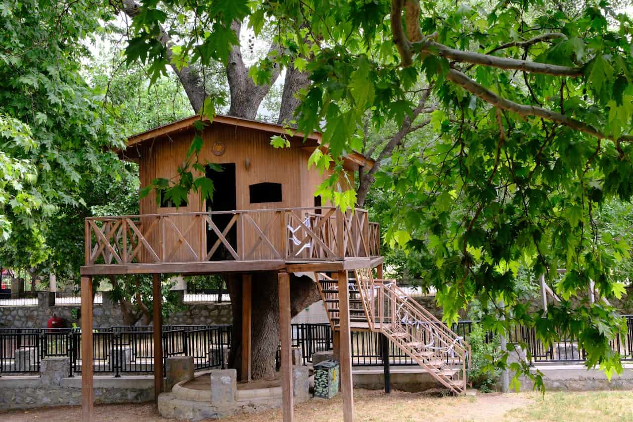Treehouse