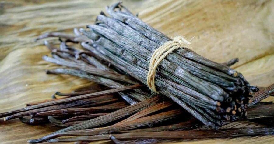 Vanilla beans from Sri Lanka