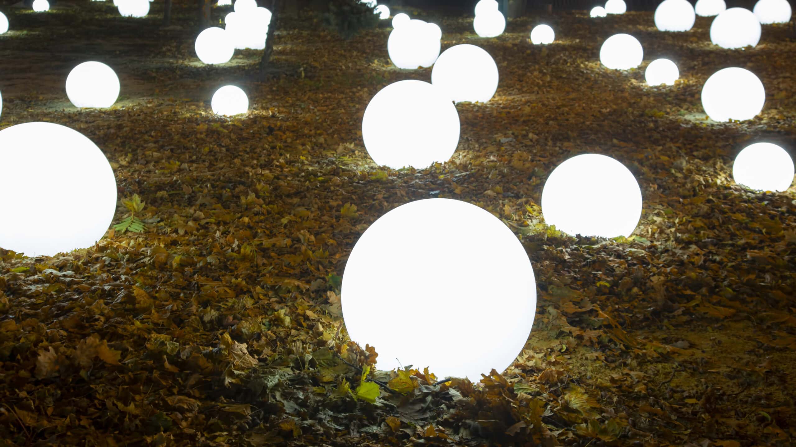 Colored glowing balls garlands in the city park. street light color festival decoration