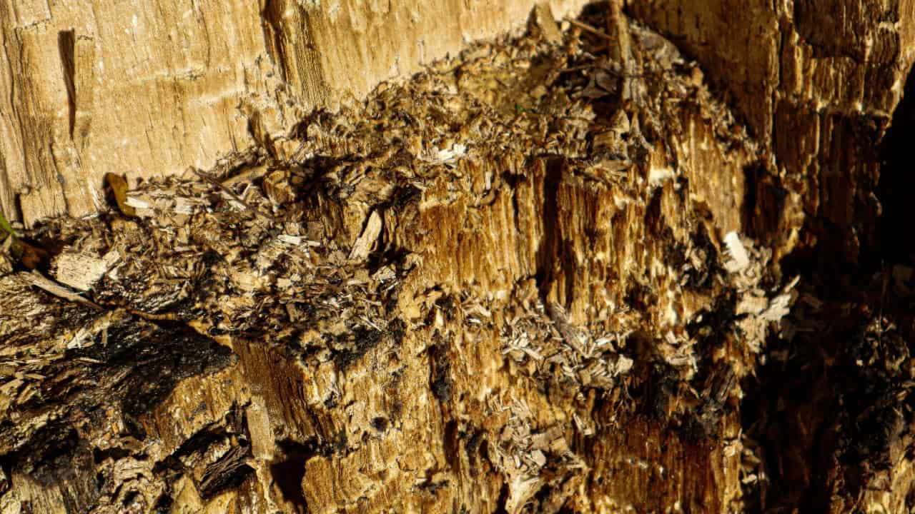 mugabo_library/Unsplash