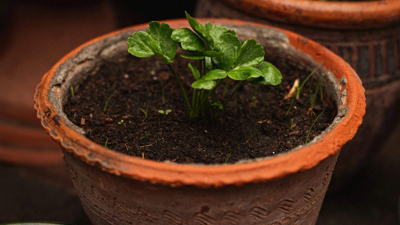 mykhailokopyt/Unsplash