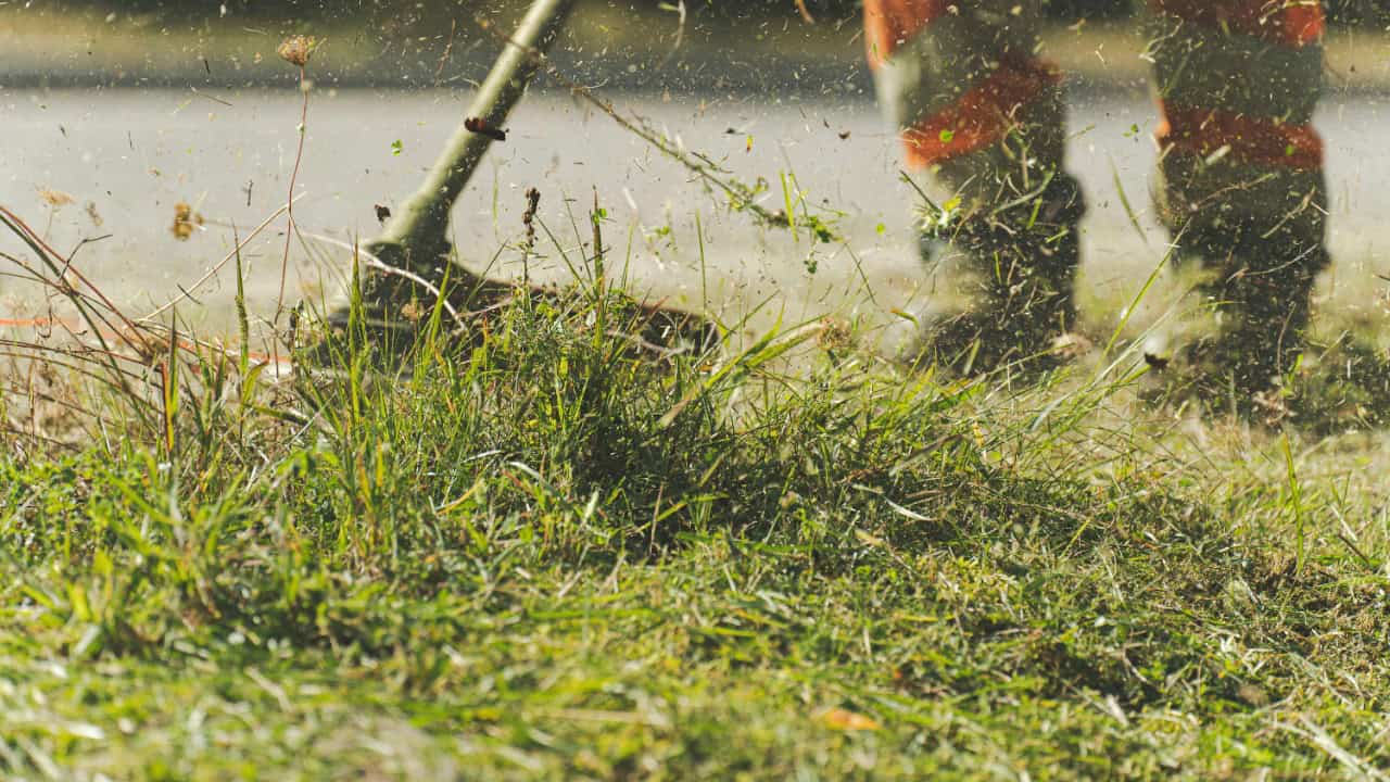 Pascal Küffer/Pexels