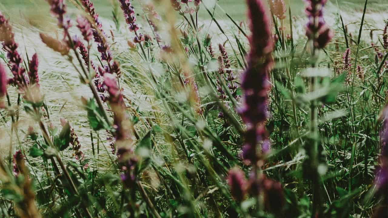 Freddie Addery/Pexels