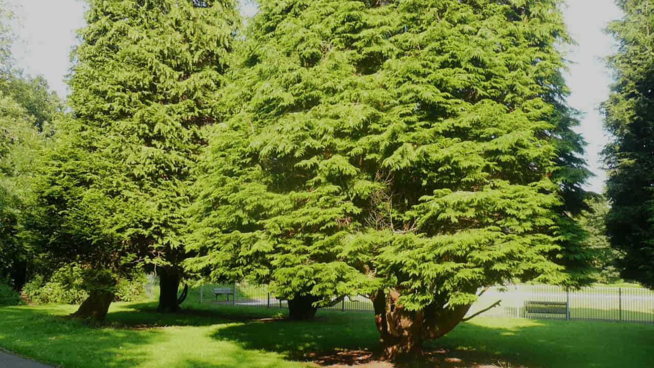 Image Credit: Humphrey Bolton - CC BY-SA 2.0/Wiki Commons