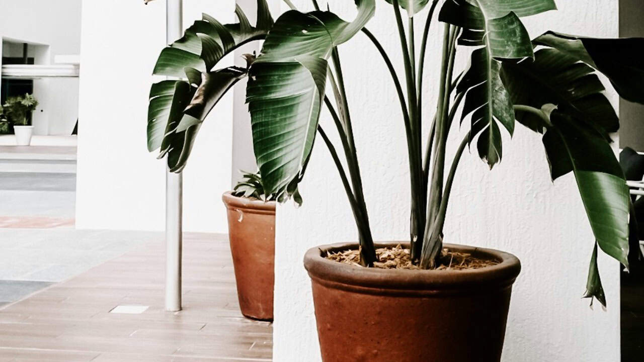 Julia Kuzenkov/Pexels