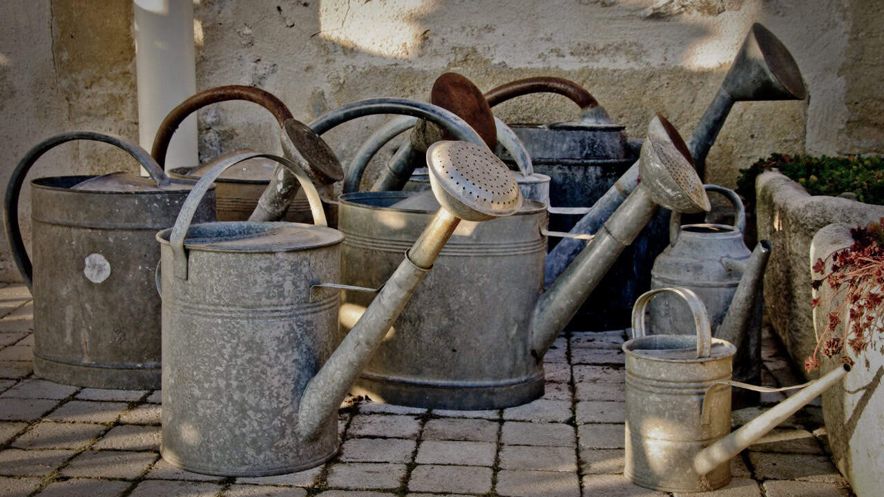 Image Credit: Bas Leenders at https://www.flickr.com/photos/basl/ - CC BY-SA 2.0/Wiki Commons