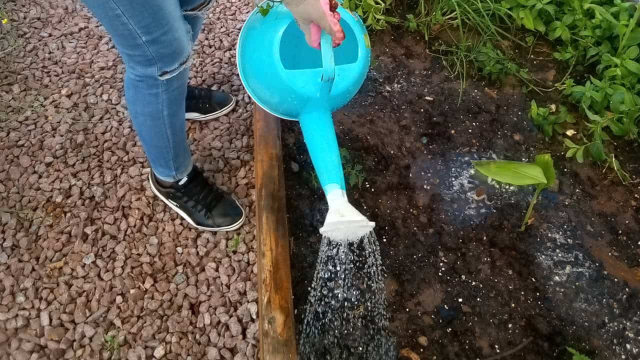 Image Credit: VNGao - CC0/Wiki Commons