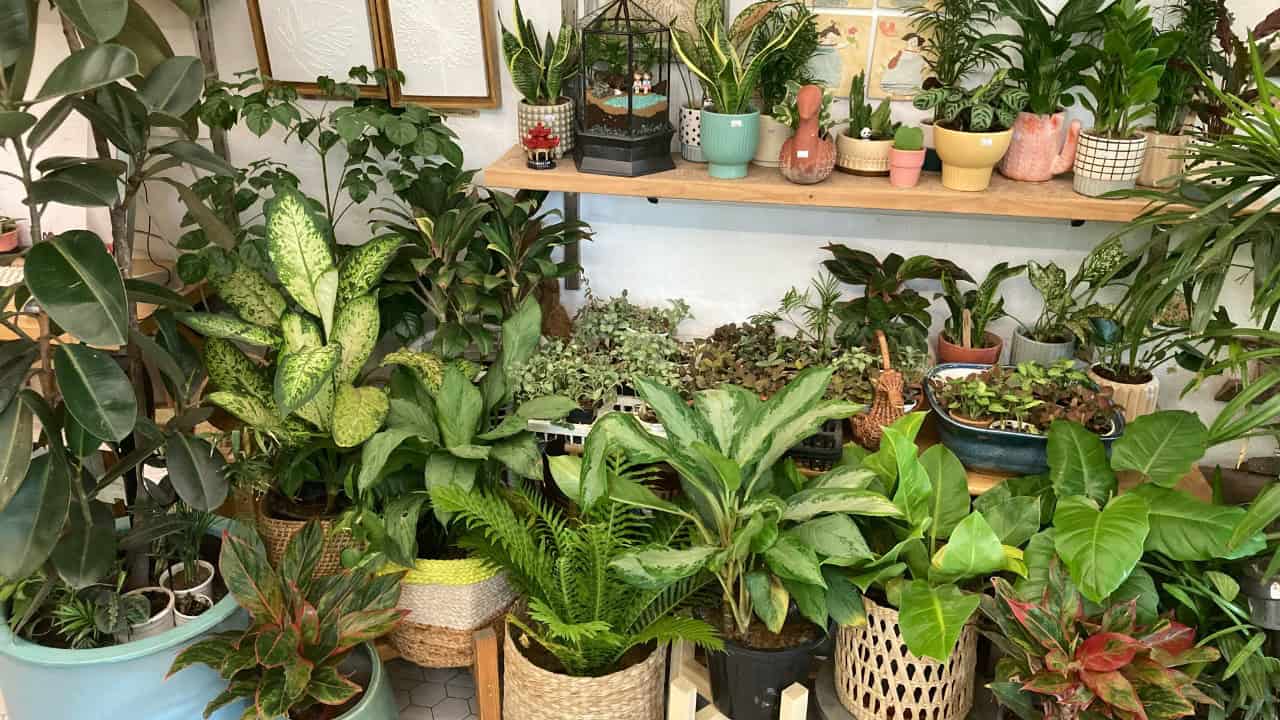 vikasbaniwal/Unsplash