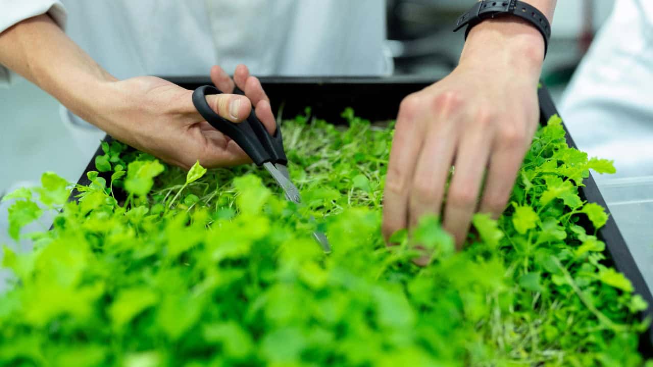 ThisIsEngineering/Pexels