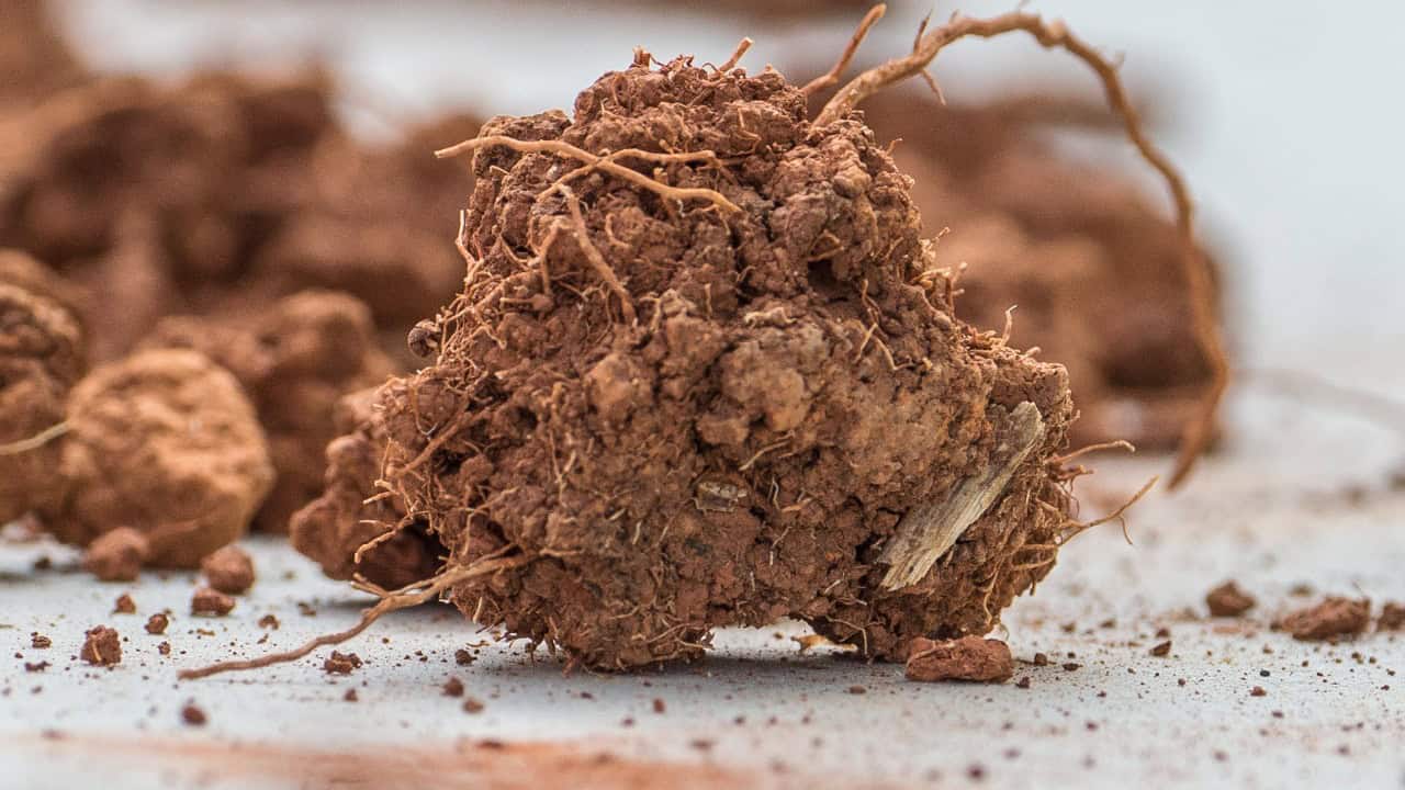 Image Credit: U.S. Department of Agriculture
Lance Cheung/Photojournalist/USDA/Lance Cheung - Public domain/Wiki Commons