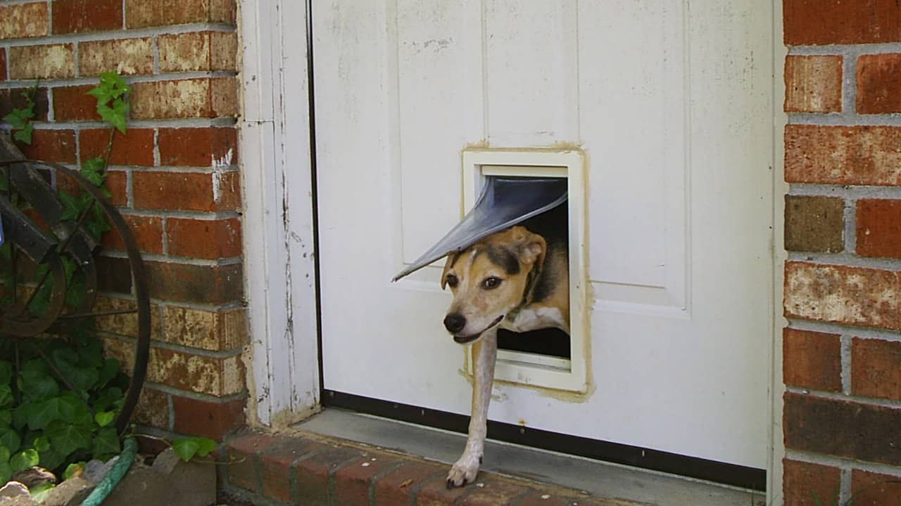 Image Credit: Unbiassed - Public domain/Wiki Commons