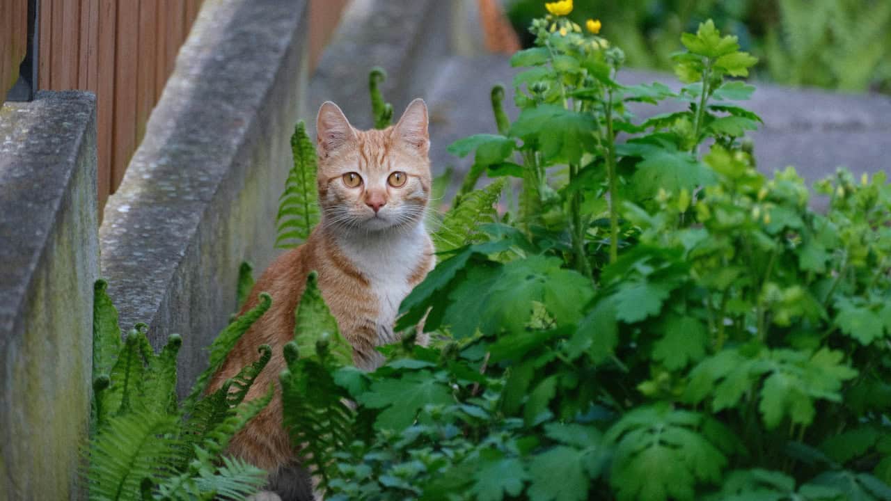 Roman Biernacki/Pexels